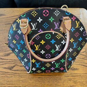 Louis Vuitton multi color purse
